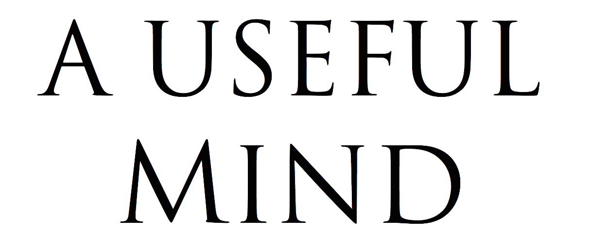 A Useful Mind